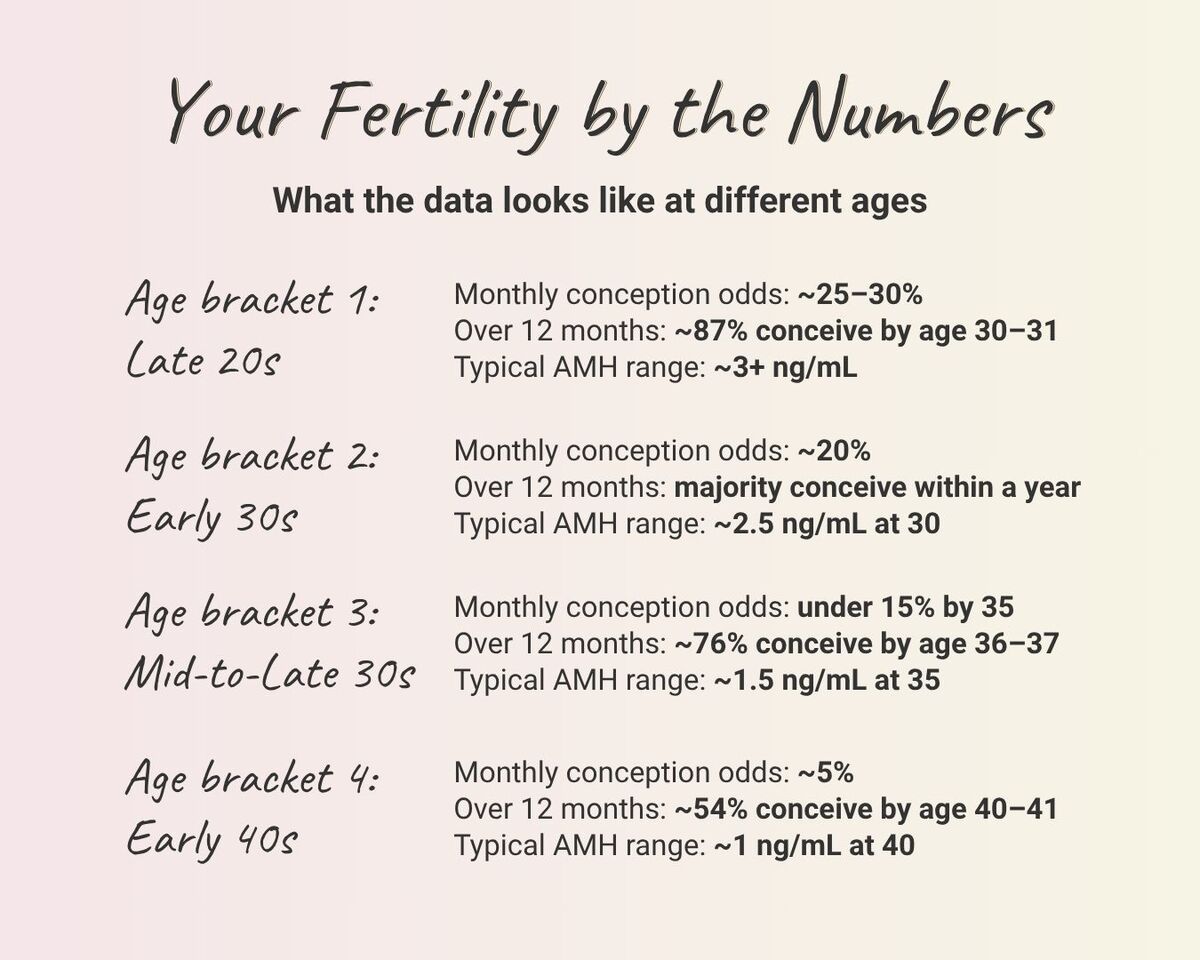 infographic of age-bracket reference showing monthly conception odds, annual conception rates, and typical AMH ranges across late 20s, early 30s, mid-to-late 30s, and early 40s. 